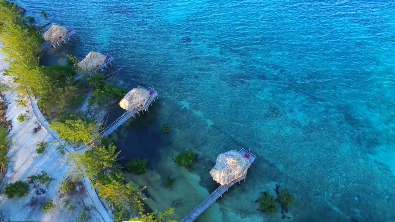 Thatch Caye Resort A Muy'Ono Resort Hopkins Dış mekan fotoğraf
