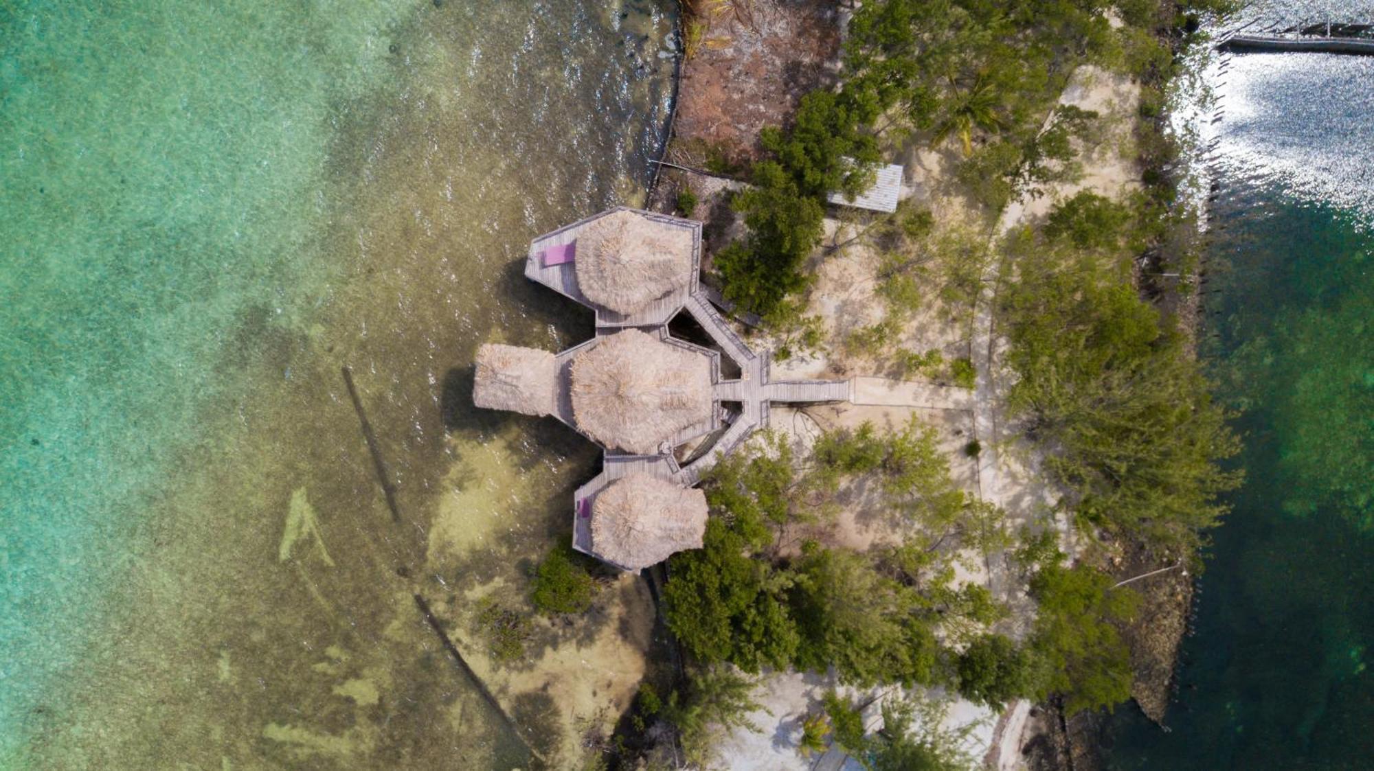 Thatch Caye Resort A Muy'Ono Resort Hopkins Oda fotoğraf