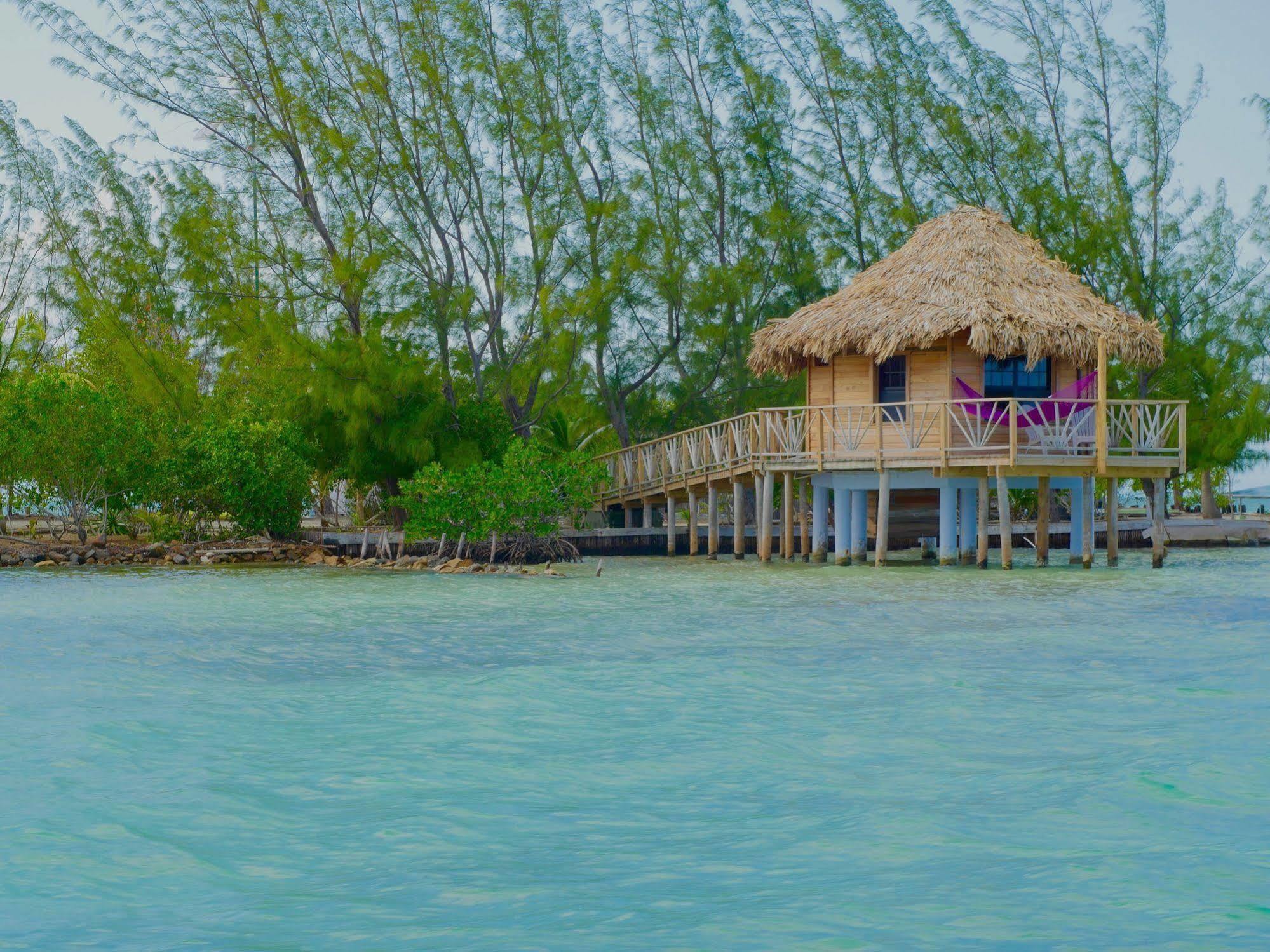 Thatch Caye Resort A Muy'Ono Resort Hopkins Dış mekan fotoğraf