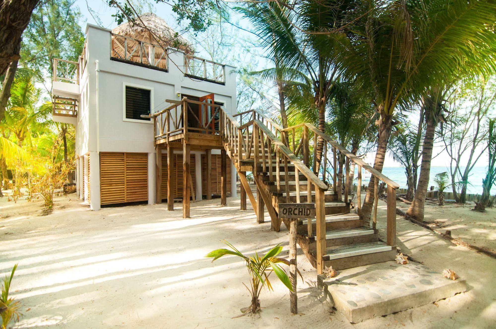 Thatch Caye Resort A Muy'Ono Resort Hopkins Dış mekan fotoğraf