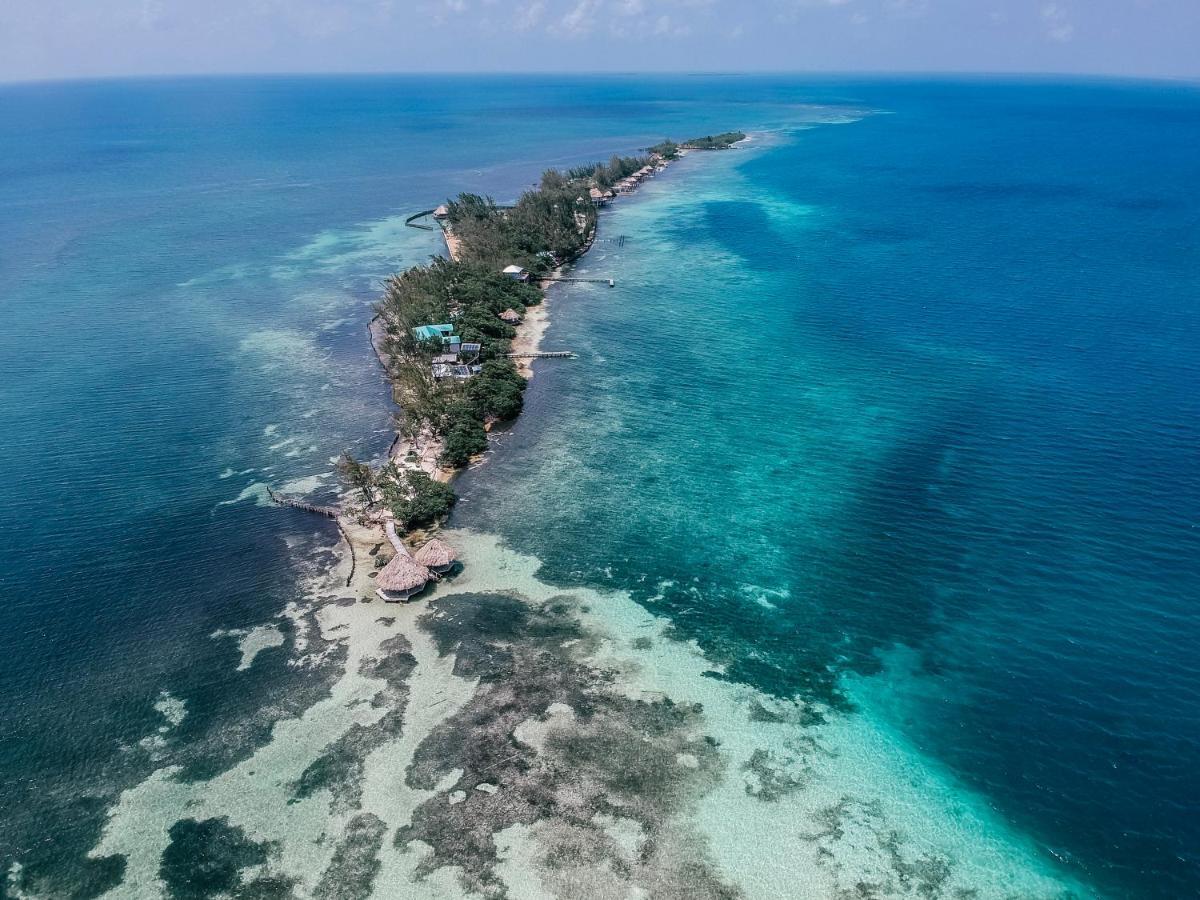 Thatch Caye Resort A Muy'Ono Resort Hopkins Dış mekan fotoğraf