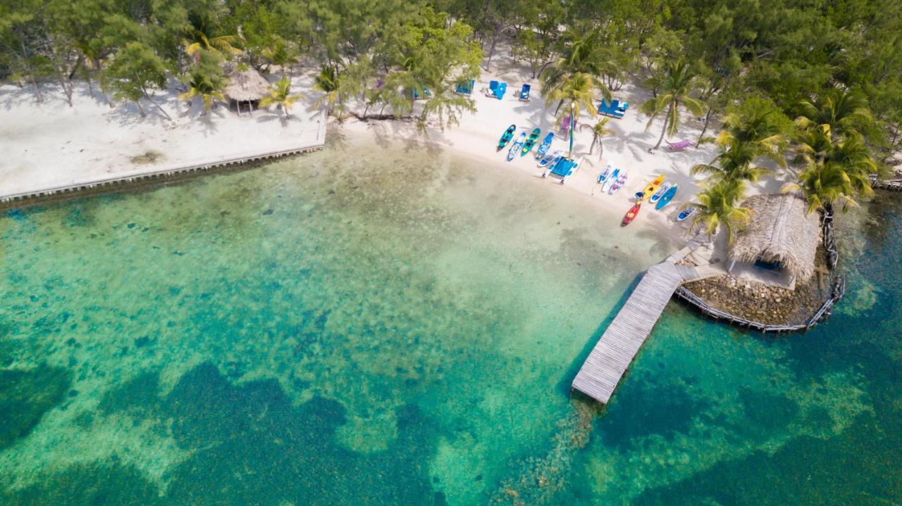 Thatch Caye Resort A Muy'Ono Resort Hopkins Dış mekan fotoğraf