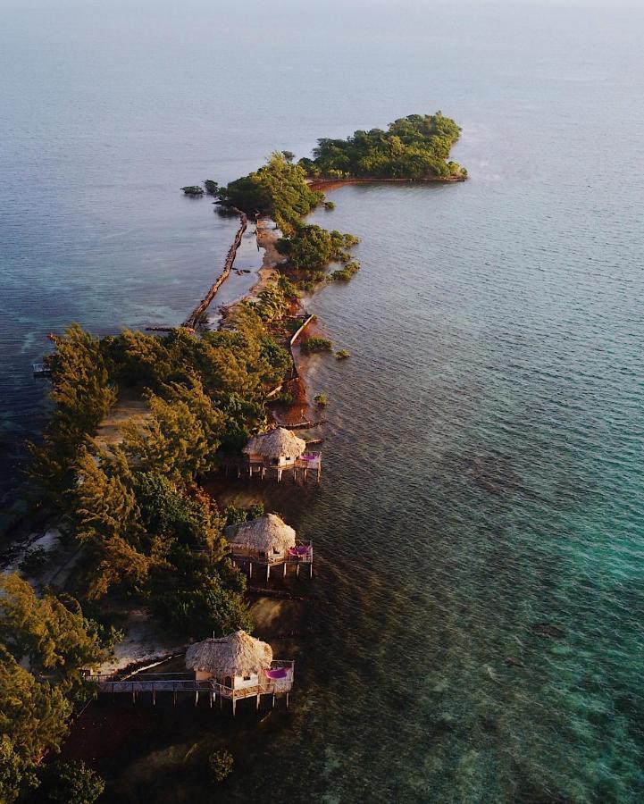 Thatch Caye Resort A Muy'Ono Resort Hopkins Dış mekan fotoğraf